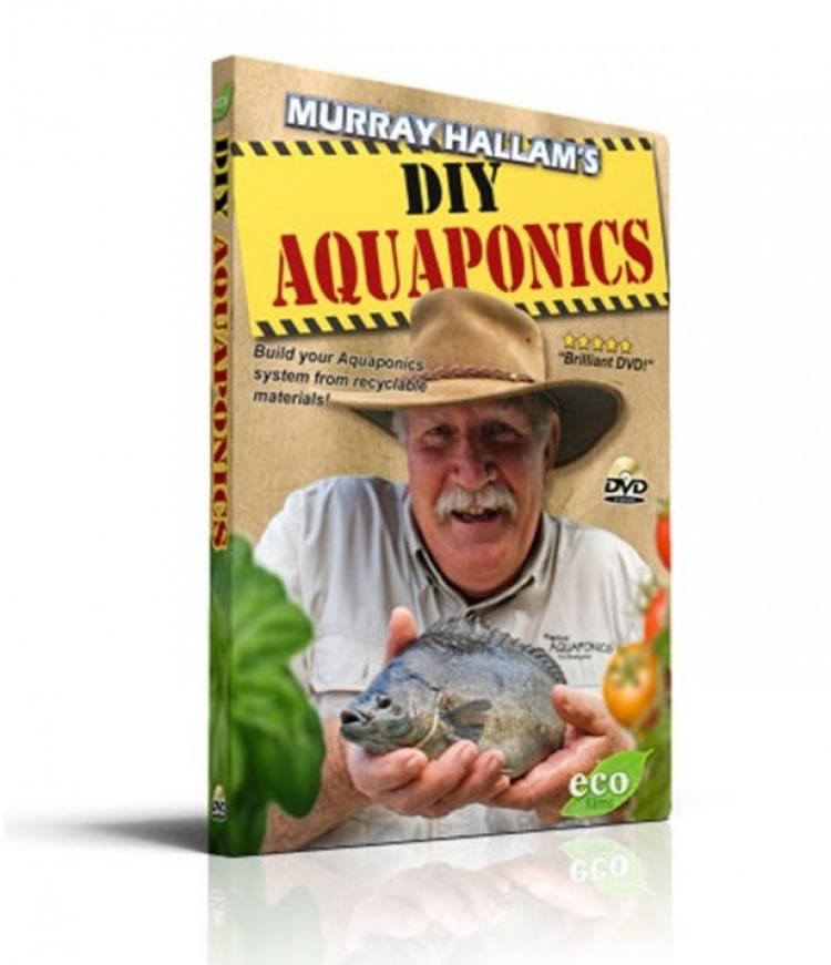 Aquaponics DIY and The First 12 Months - Streaming Version
